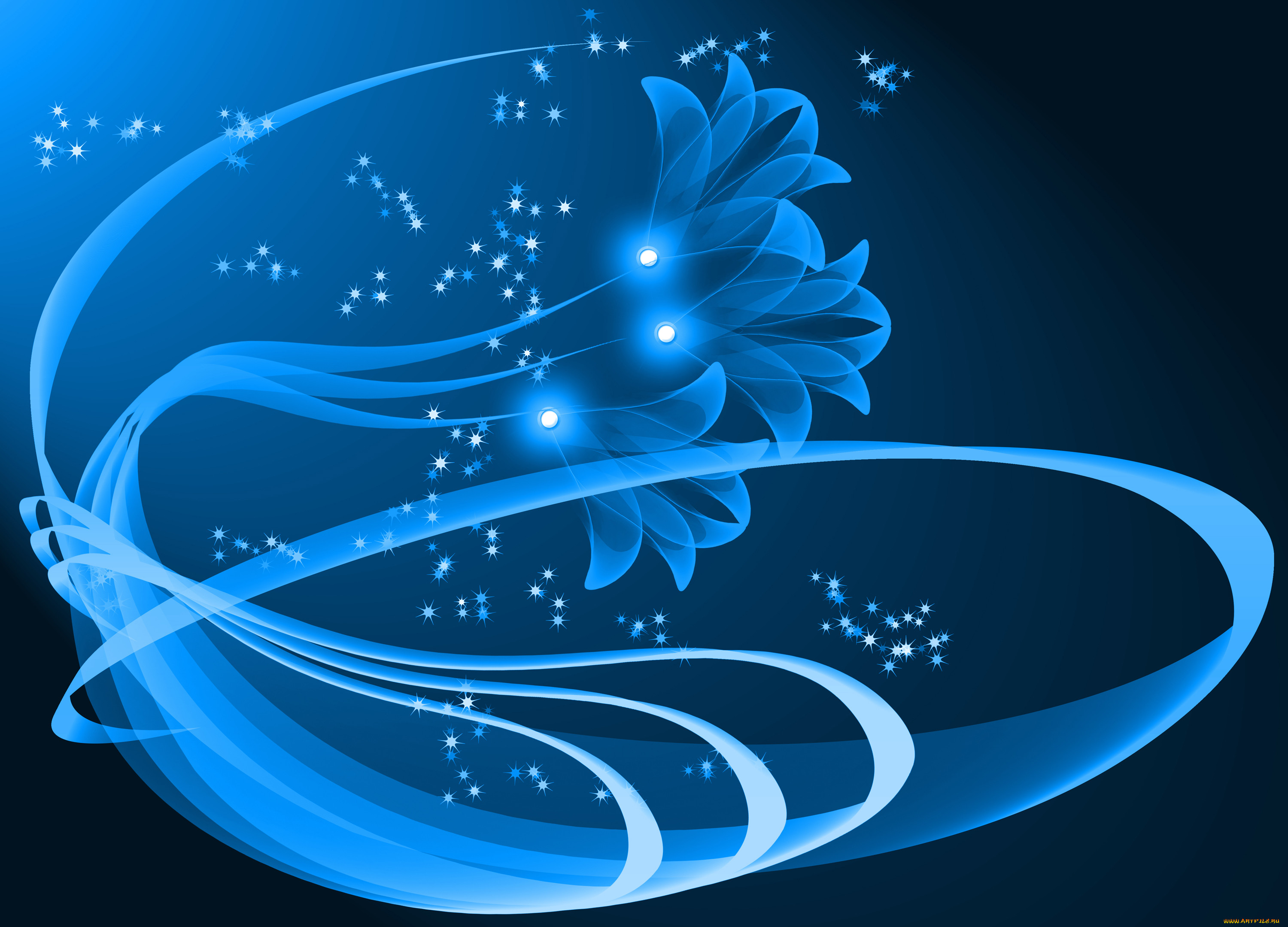  ,  , flowers, 